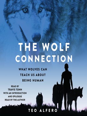 cover image of The Wolf Connection